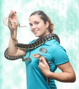 AWA profile done scales