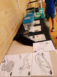 Colouring In activity