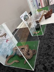 Reptile education
