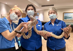 All Events Entertainment