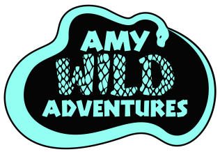 Amy Wild Adventures logo