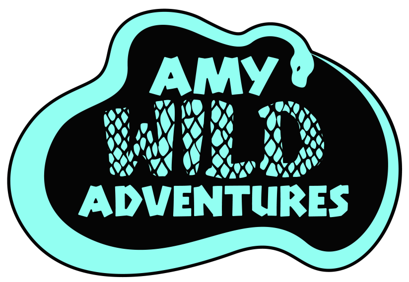 Amy Wild Adventures logo